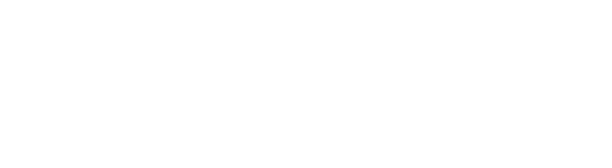 white-logo-beratung